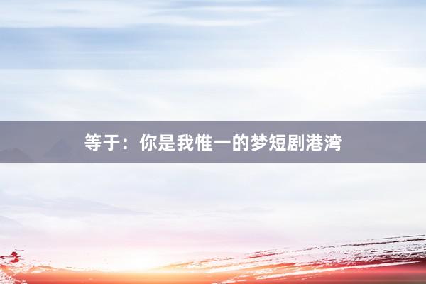 等于：你是我惟一的梦短剧港湾